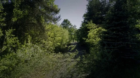 Desolated, abandoned lonely road, path. Urbex site in Poland. Stock Footage 122253636