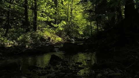Desolated, abandoned lonely road, path. Urbex site in Poland. Stock Footage 122253659