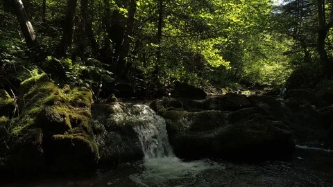 Desolated, abandoned lonely road, path. Urbex site in Poland. Stock Footage 122253690