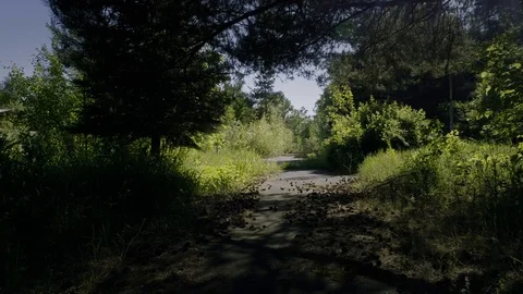 Desolated, abandoned lonely road, path. Urbex site in Poland. Stock Footage 122253740