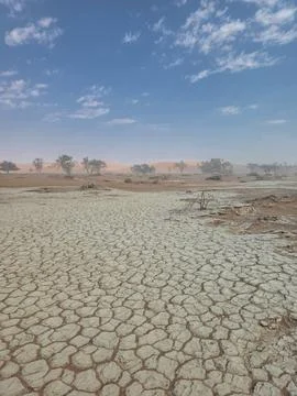 Desolated dry soil on the way to Hidden Vlei at Sossusvlei, Namib Naukluft .. Stock Photos