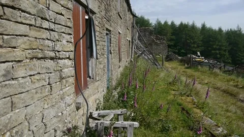 Desolation Stock Footage 313528835