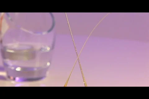 Dessert 4 스톡 동영상 312503