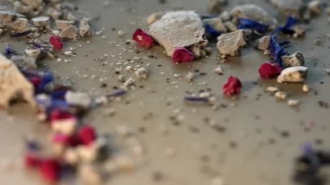 Dessert based on dark chocolate. Stock Footage 311264694