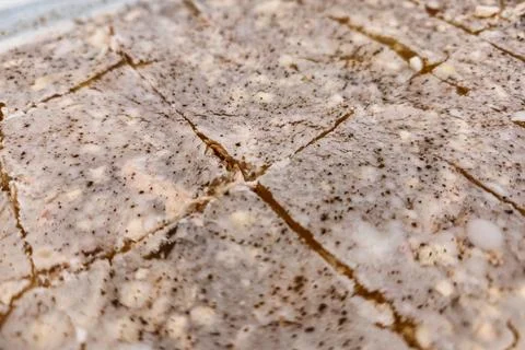 A dessert displays a smooth surface with small squares cut into pieces. The t Stock-Fotos