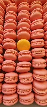 Dessert macaroni for background close-up Stock Photos