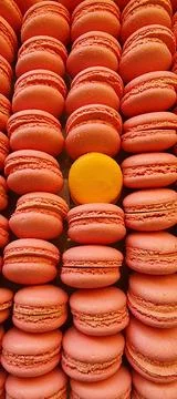 Dessert macaroni for background close-up Stock Photos