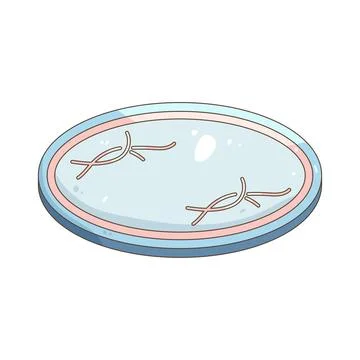 Dessert plate Stock Illustration