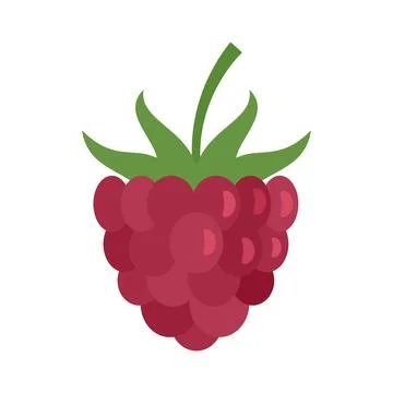 Dessert raspberry icon flat isolated Stockillustratie