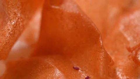 Dessert serving closeup. Stock Footage 131998390