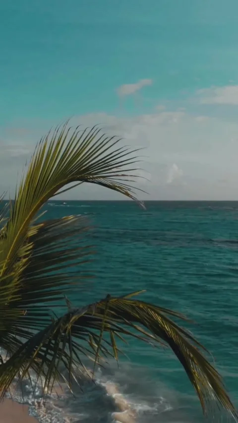 Destination Footage Stock Footage 308259471