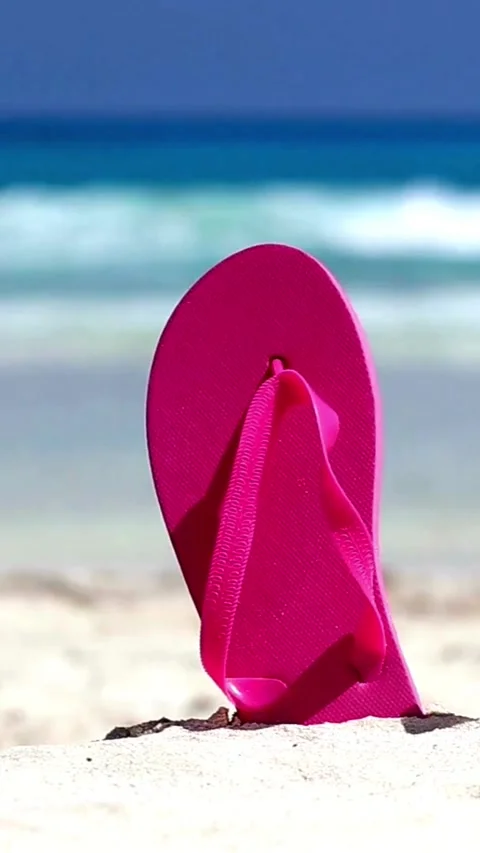 Destination Footage Video stock 308259489