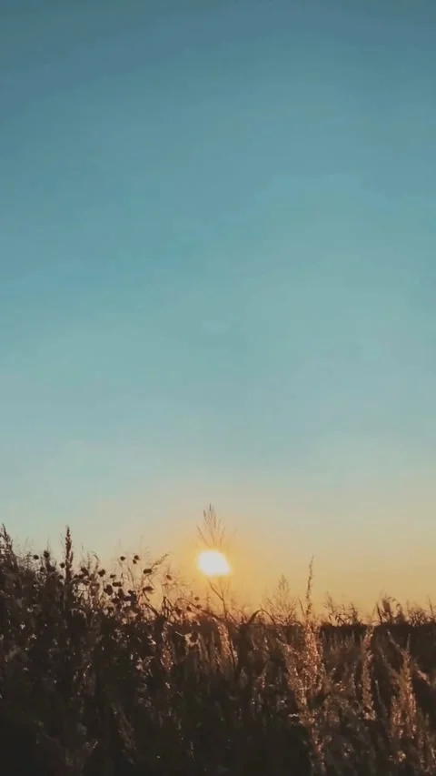 Destination Footage Stock Footage 308259515