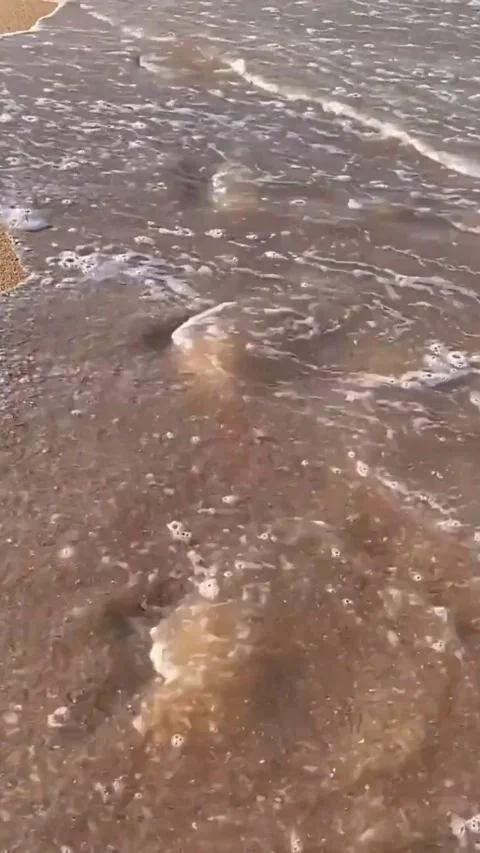 Destination Footage Video stock 308259528