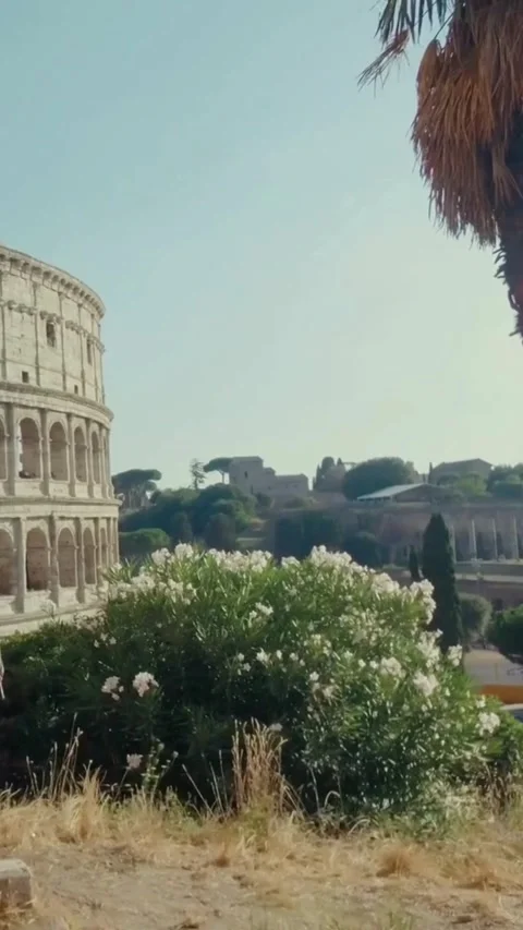 Destination Footage Stock Footage 308259539
