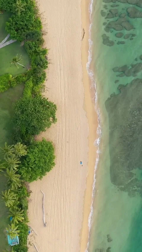 Destination Footage Stock Footage 308259552