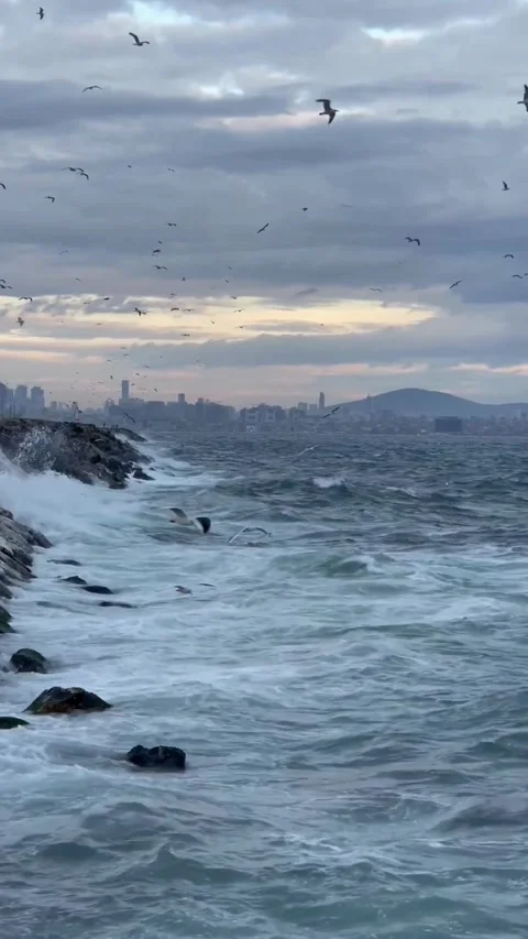 Destination Footage Video stock 308259554