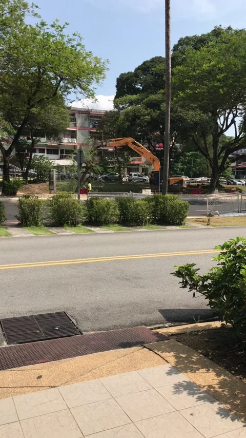 Destroy tree at the street Stock Footage 149190594