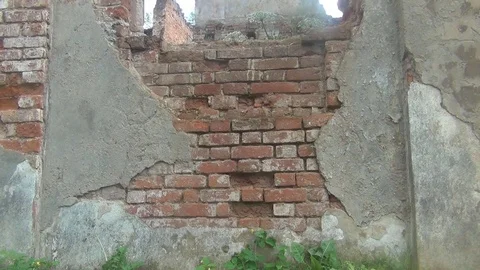 The destroyed brick building has no roof, plants grow inside Stock Footage 78649096