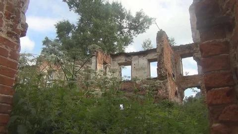 The destroyed brick building has no roof, plants grow inside Stock Footage 78649352