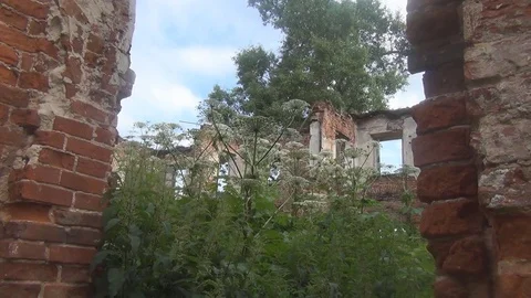 The destroyed brick building has no roof, plants grow inside Stock Footage 78650052