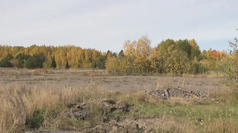 Destroyed building of the car window Stock Footage 30463313