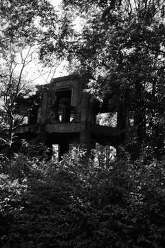 Destroyed bunker Stock Photos