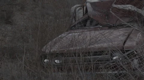 Destroyed Car in the Woods Stockbeeldmateriaal 43442762