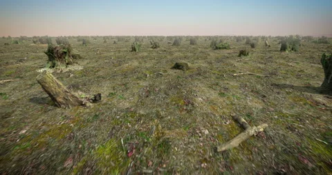 Destroyed forest, looping 3D animation Stock Footage 151681245