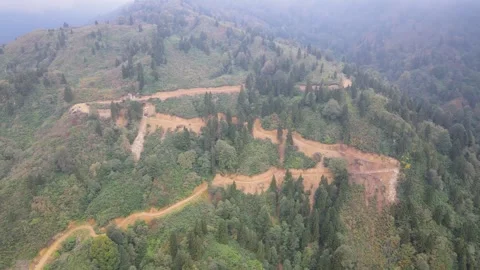 Destroyed Forests Stock Footage 331932402