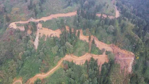 Destroyed Forests Stock Footage 332591241