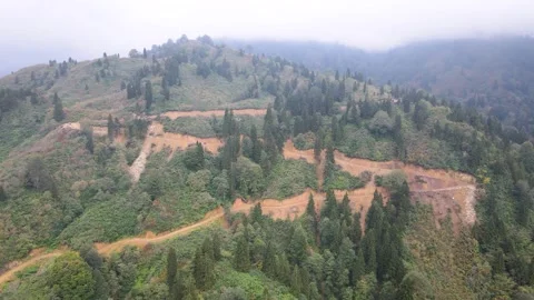 Destroyed Forests Stock-Footage 333132273