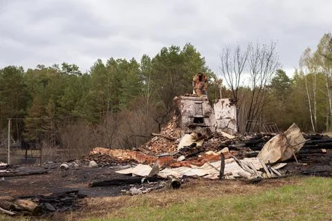 Destroyed house after the forestfire Stock Photos