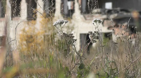 Destroyed house Stock Footage 30475458