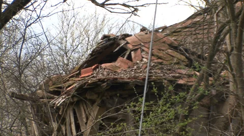 Destroyed old house in the woods Stock Footage 38295758