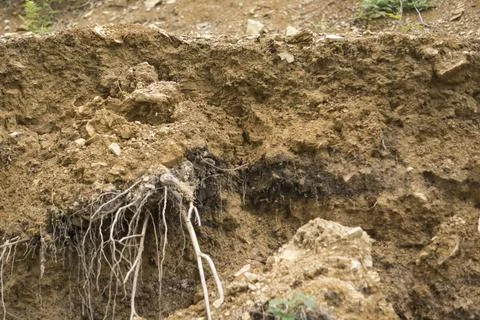 Destroyed soil Foto stock