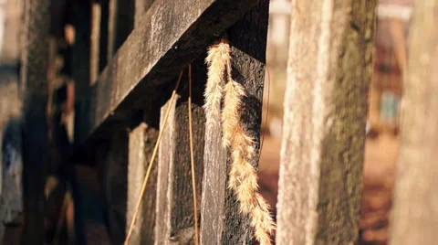 Destroyed by time and war buildings (36) Video stock 48633045