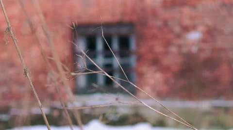 Destroyed by time and war buildings (63) Video stock 48633305