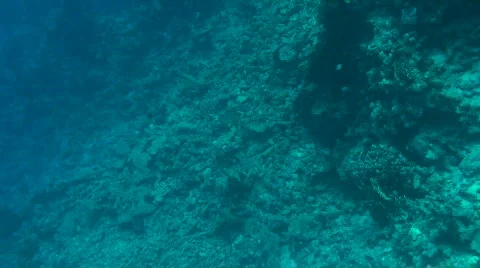 Destructed reef Stock Footage 586484