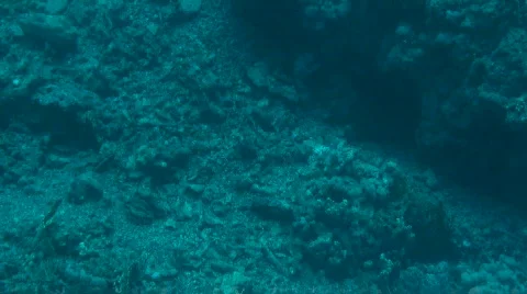 Destructed reef Stock Footage 586524