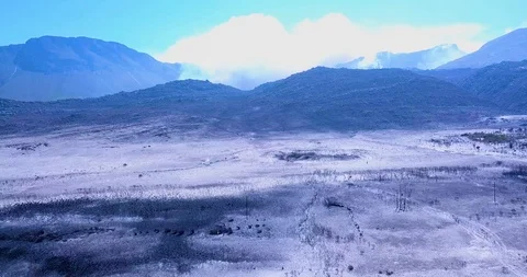 The destruction after a wild fire destroyed all in it's path, DRONE FORWARD Video stock 100803295