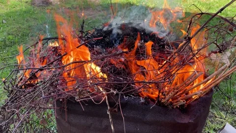 Destruction and burning of old unnecessary branches Stock-Footage 240045853