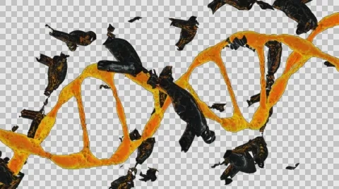 Destruction of DNA model (alpha) Stock Footage 63878566