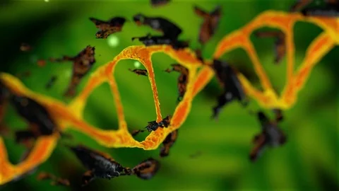 Destruction of DNA model green Stock Footage 73565760