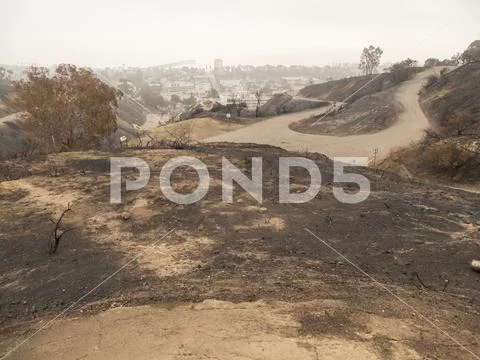 Destruction in Field from Recent Wildfire in Park Stock Photos