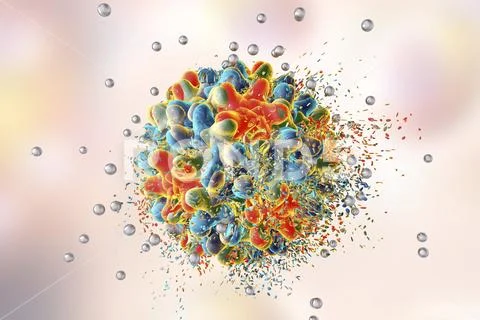 Destruction of hepatitis B virus, illustration Stock Illustration