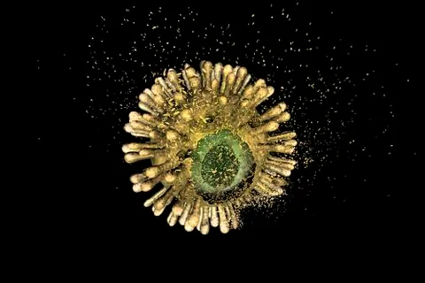 Destruction of Human Immunodeficiency Virus Stock Illustration