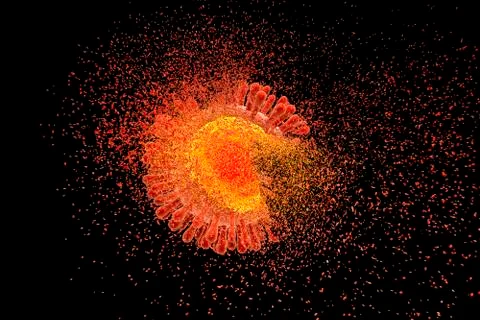 Destruction of Human Immunodeficiency Virus Stock Illustration