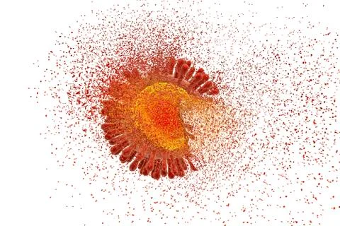 Destruction of Human Immunodeficiency Virus Illustrazione stock