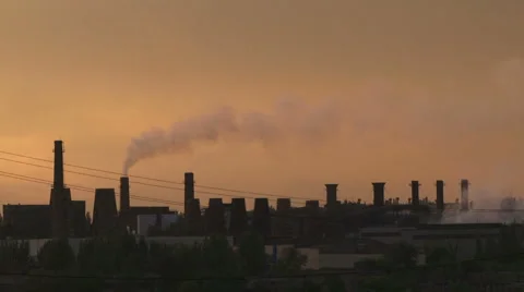 Destruction of nature Video stock 1052752
